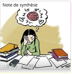 DÉVELOPPER SON ESPRIT DE SYNTHÈSE